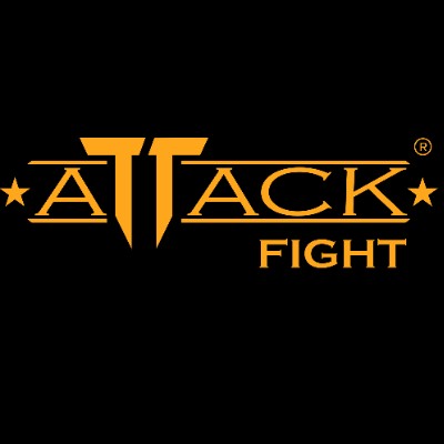 Attack Fight
